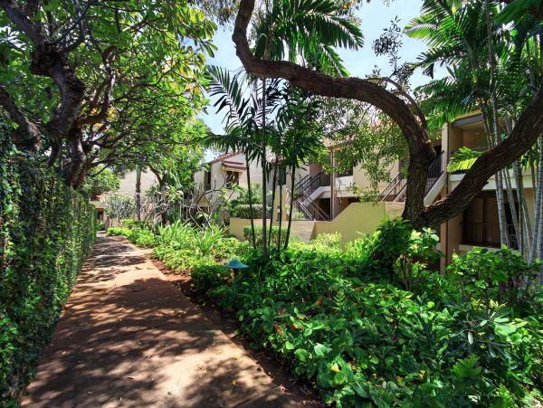 Kaanapali Condo 948771