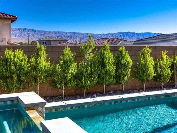 Palm Desert Home 948829