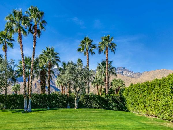 Palm Springs Home 948851