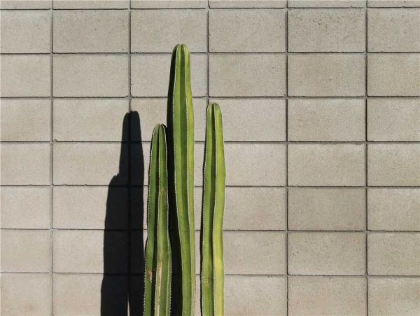 Palm Springs Home 948855