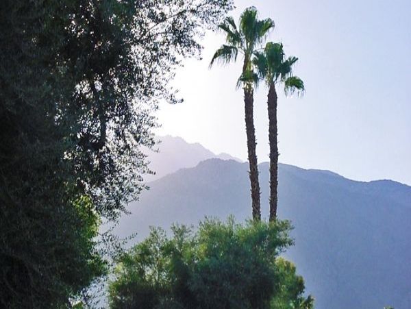 Palm Springs Home 948915