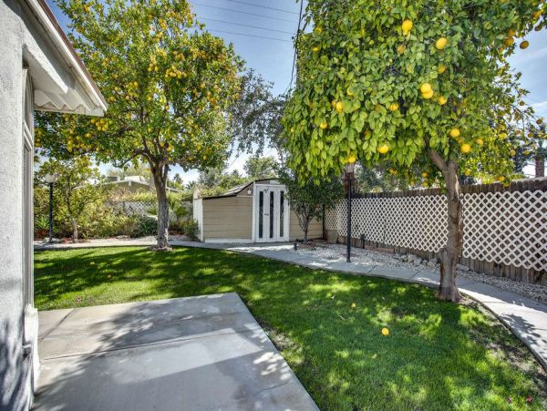 Palm Springs Home 949006