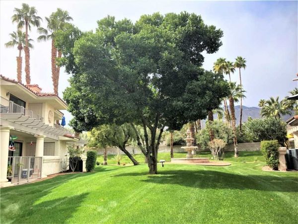 Palm Springs Home 949043