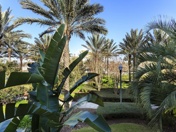 Orlando Home 949066