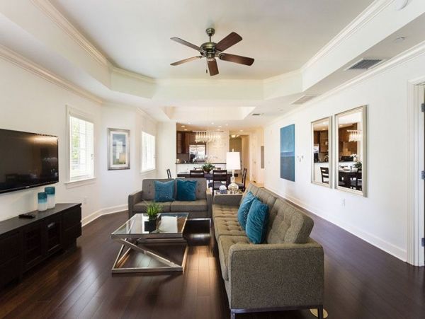 Orlando Home 949067