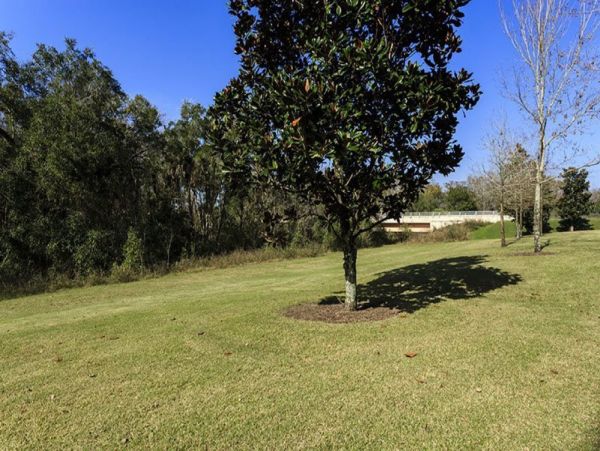 Orlando Home 949070