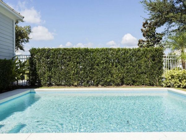 Orlando Home 949072