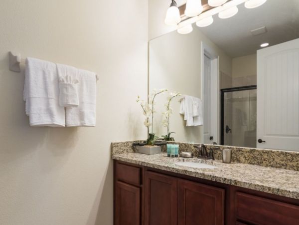 Orlando Home 949160
