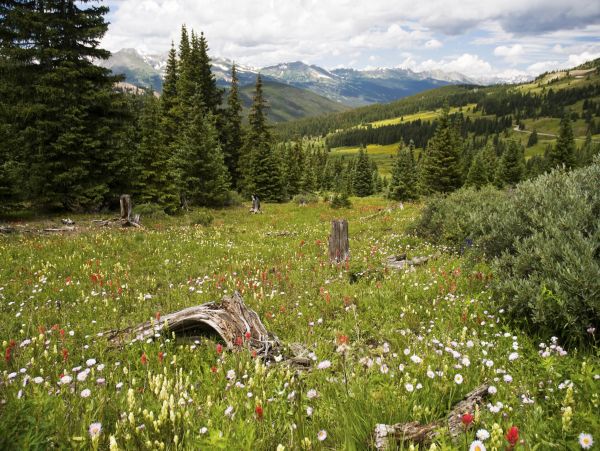 Breckenridge Vacation Home Sleeps 6 Guests Mountain View