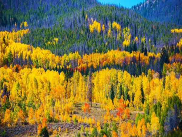 Breckenridge Vacation Home Sleeps 6 Guests Mountain View