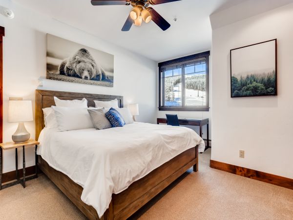 Breckenridge Luxury Vacation Rental with Spa Sleeps 10