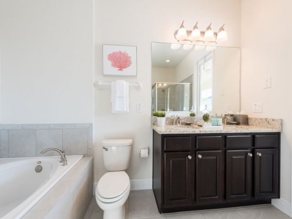 Orlando Home 949237