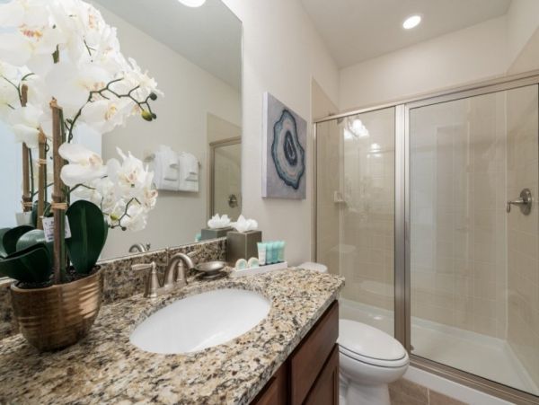 Orlando Home 949239
