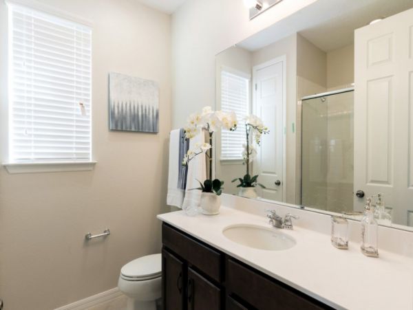 Orlando Home 949254