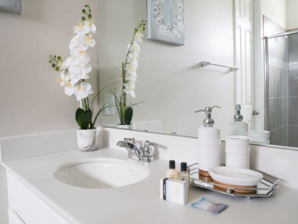 Orlando Home 949296