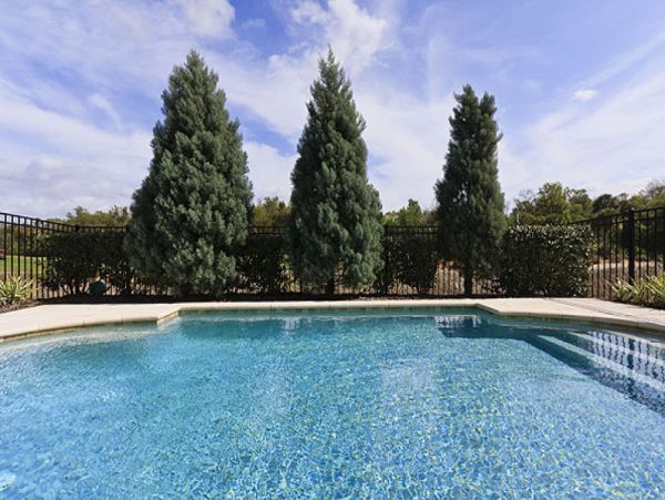 Orlando Home 949683