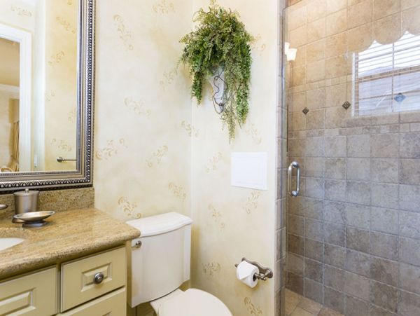 Orlando Home 949688