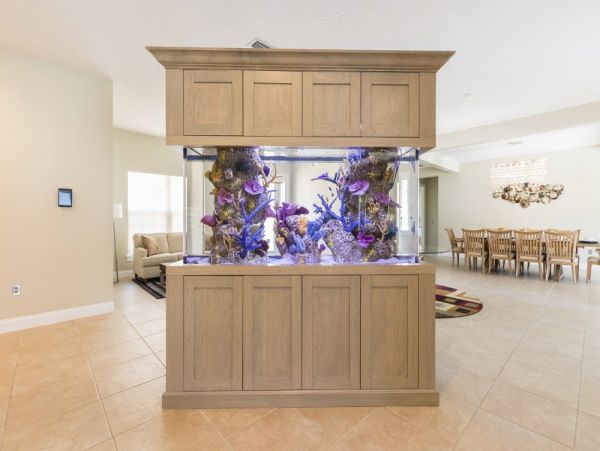 Orlando Home 949719