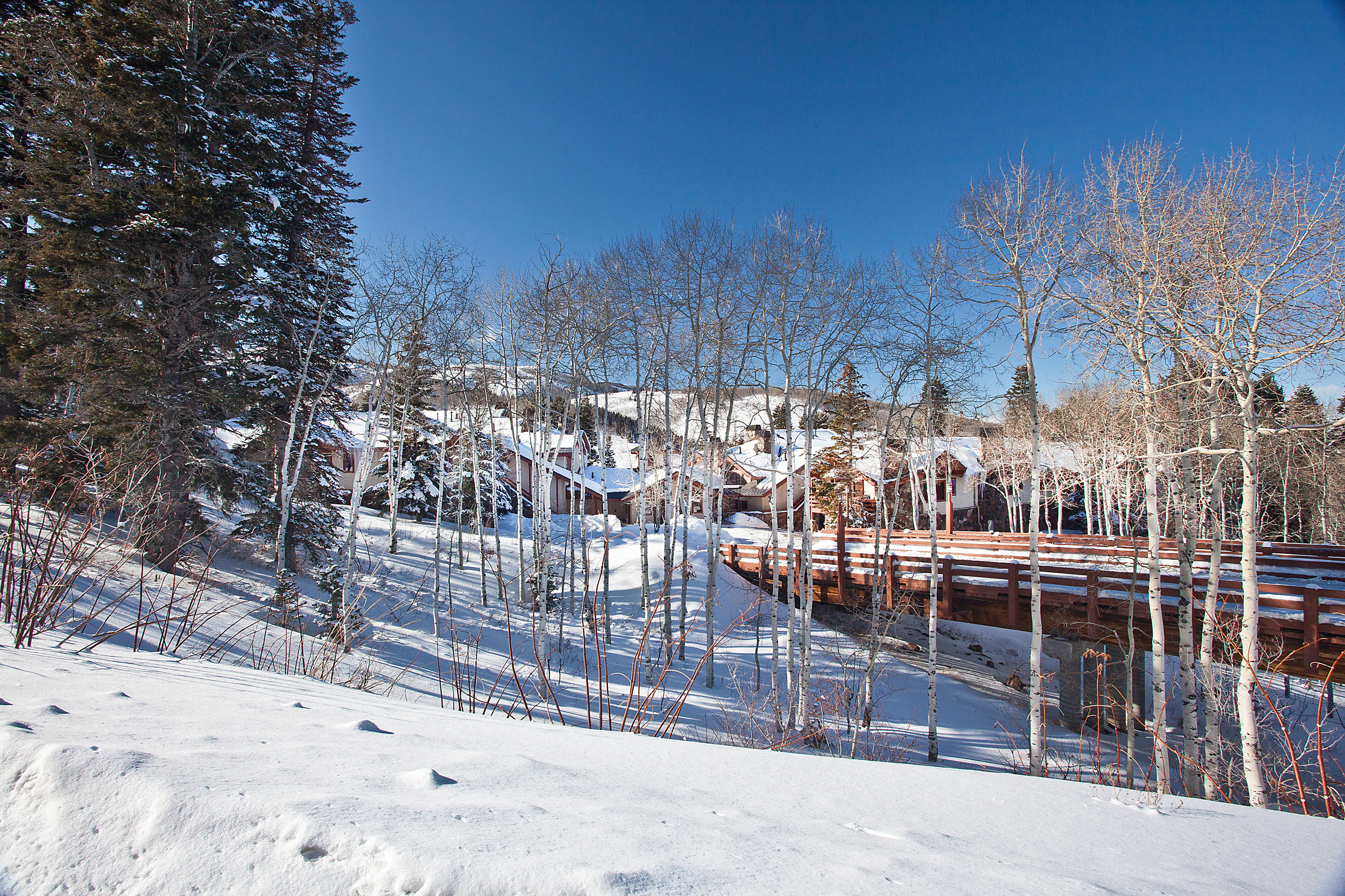 Park City Deer Valley Canyons Resort Home 949866