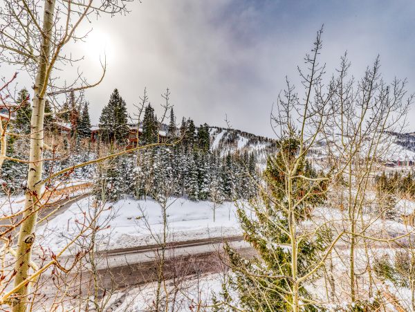 Park City Deer Valley Canyons Resort Home 949886