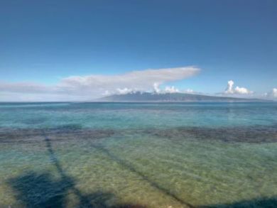 Steps To The Ocean - Lahaina Vacation Condo Sleeps 4 Guests