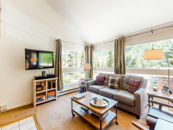 Vail Lionshead Home 949999