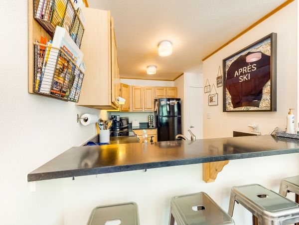 Vail Lionshead Home 949999
