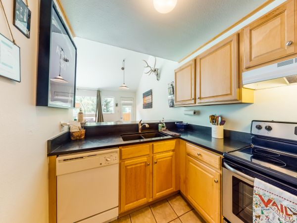 Vail Lionshead Home 949999