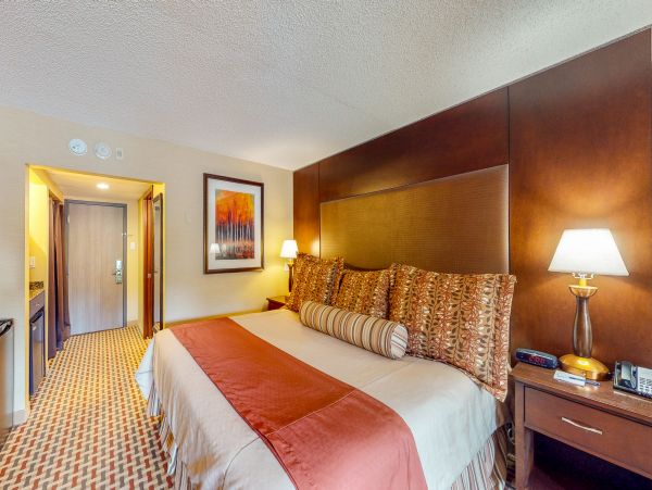 Aspen Condo 950002