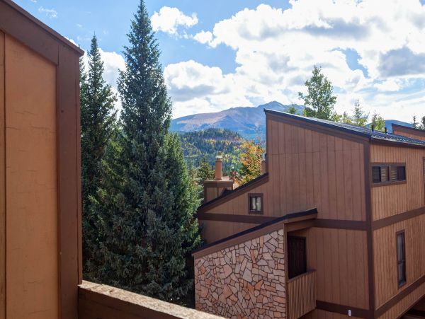 Breckenridge Condo 950003