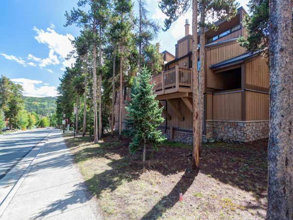 Breckenridge Condo 950003