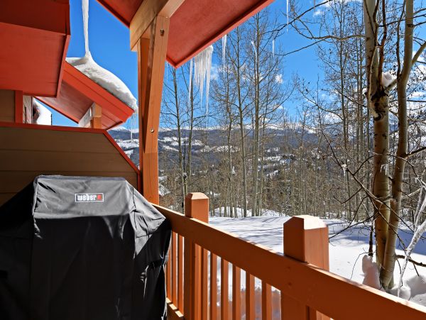 Winter Park Home 950004