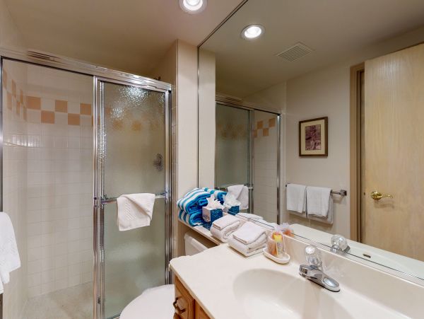 Beaver Creek Bachelor Gulch Condo 950005