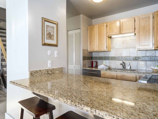 Steamboat Springs Condo 950006