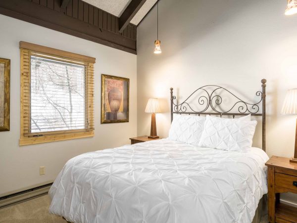 Steamboat Springs Condo 950006