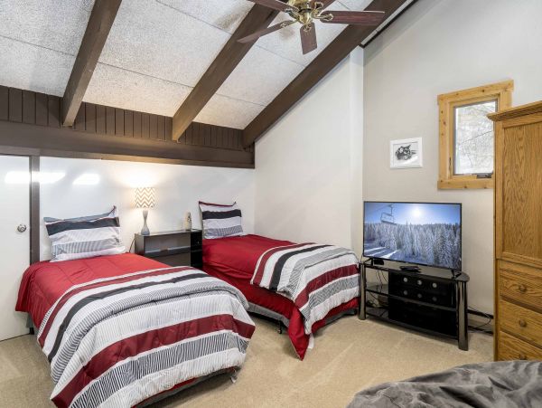 Steamboat Springs Condo 950006