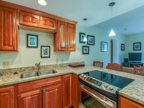 Breckenridge Condo 950008