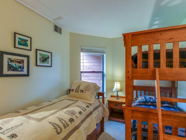 Breckenridge Condo 950008