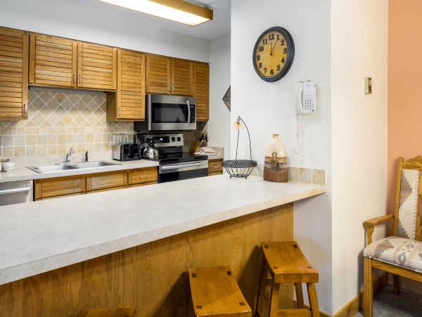 Steamboat Springs Condo 950015