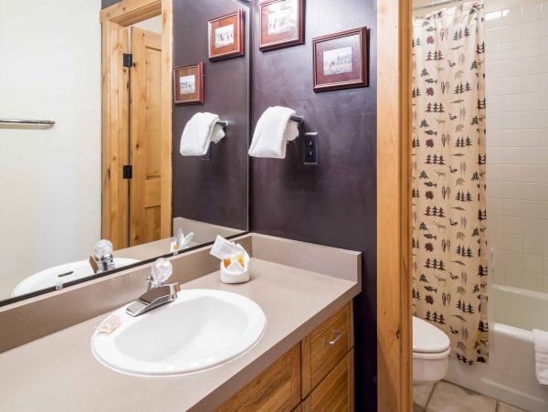 Steamboat Springs Condo 950015
