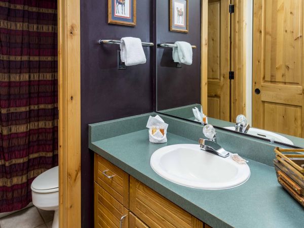 Steamboat Springs Condo 950015