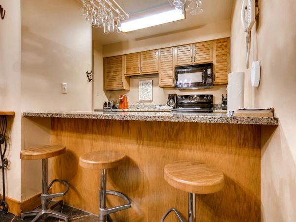 Steamboat Springs Condo 950016