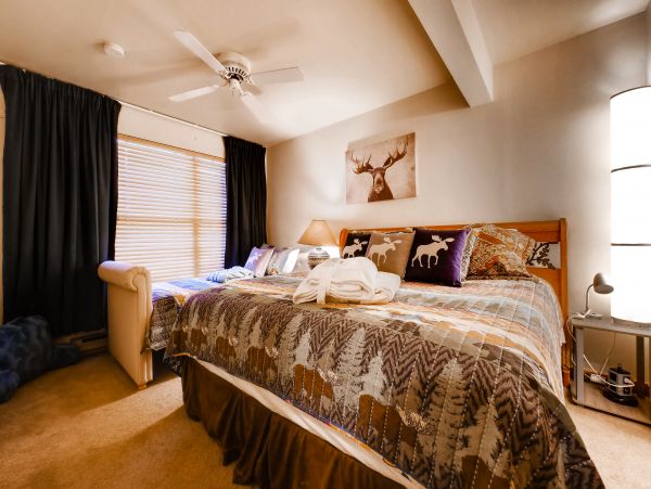 Steamboat Springs Condo 950016