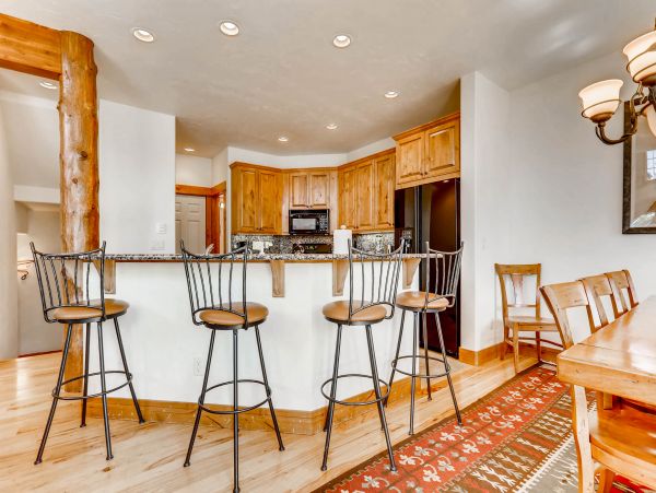 Steamboat Springs Home 950017