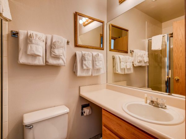 Breckenridge Condo 950021