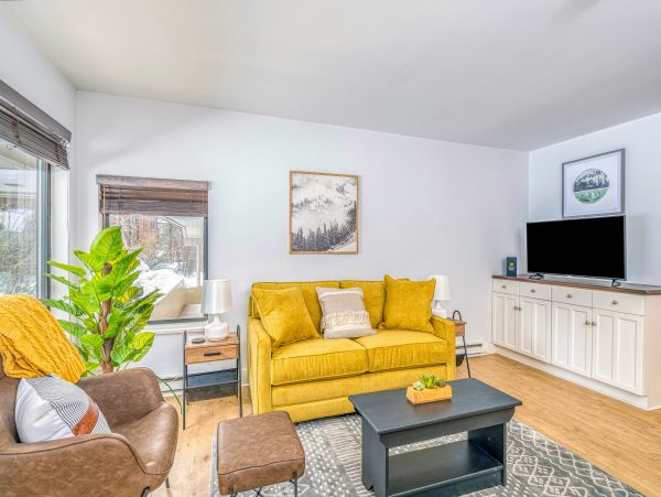 Telluride Condo 950022