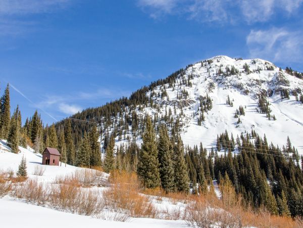 Telluride Condo 950022