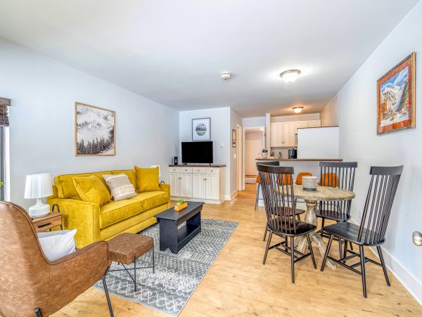 Telluride Condo 950022