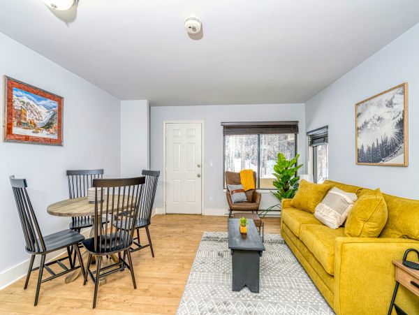 Telluride Condo 950022