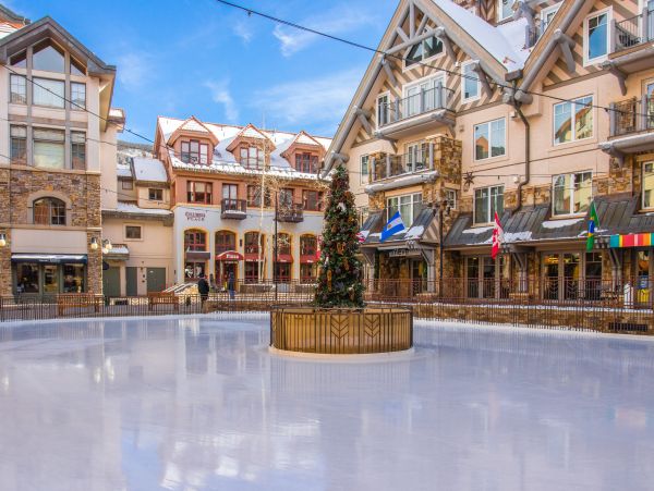 Telluride Condo 950022